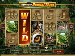 Jogos de video slot Get a Fish