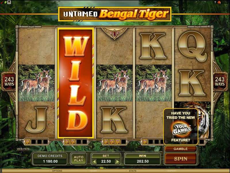 Jogar slots gratis 20 Super Dice Jogar slots gratis 20 Super Dice