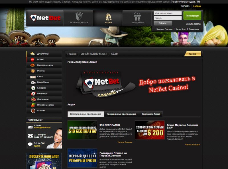 Net Bet Casino Net Bet Casino