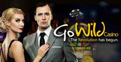 Казино gowild casino казино вулкан популярный