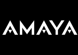 amaya group realty amaya group realty