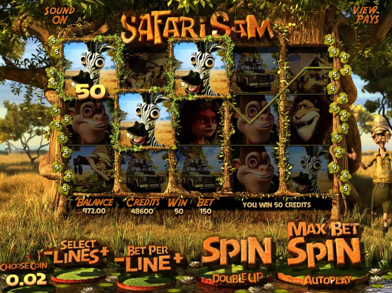 Safari Safari