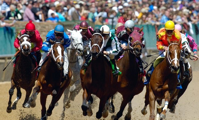 Head Off to the Races with a Guide to American Horse Racing