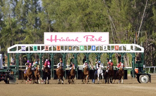 Hialeah Park Racing & Casino Hialeah Park Racing & Casino